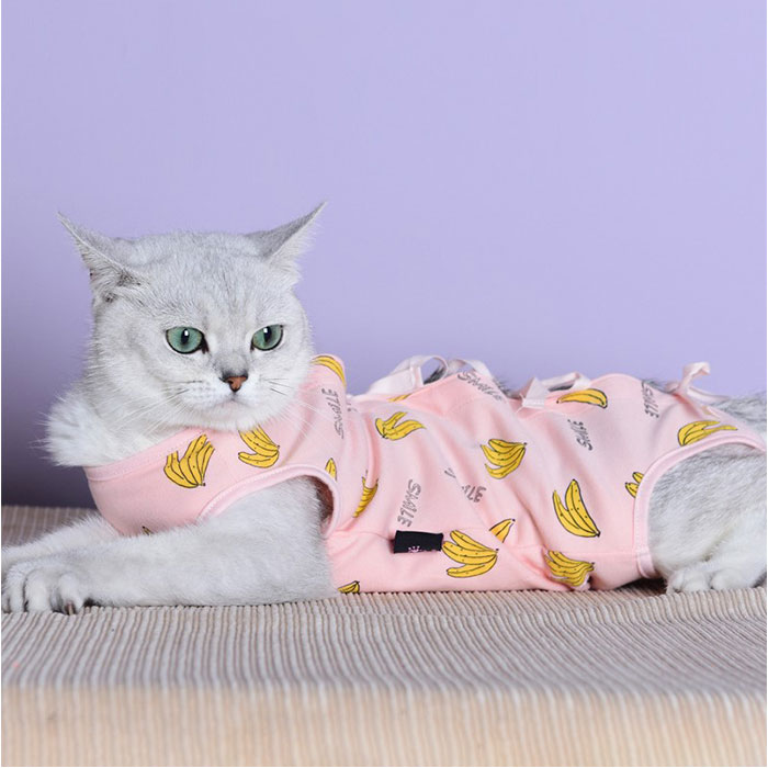 * -тактный кольцо модель × мята * S * домашнее животное кошка . после одежда облизывание предотвращение симпатичный gpet6038. после одежда кошка ... после одежда . после одежда 