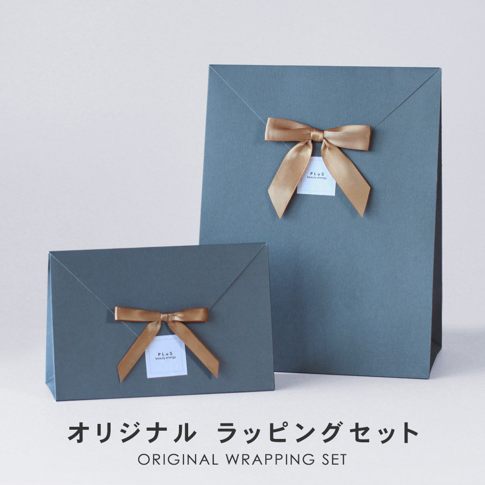 pryu original wrapping set [BAG type ] present bag ribbon seal set YP