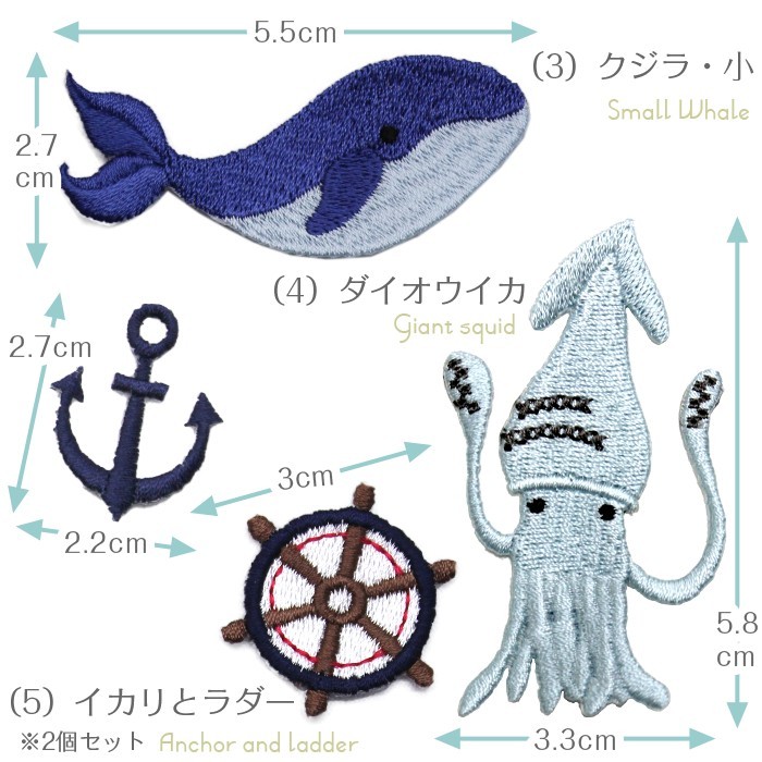 サイズ　海の生き物
