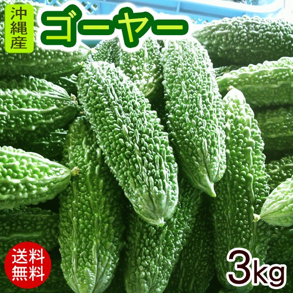  Okinawa production bitter gourd - approximately 3kg(10~15ps.@) ( refrigeration shipping )( free shipping )