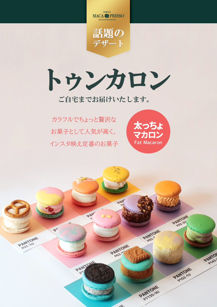 選択 マカロンフレークセット 太っちょマカロン Macapresso 選べる 6個 Amp マカプレッソ トゥンカロン マカロン Macaron 韓国 Aynaelda Com