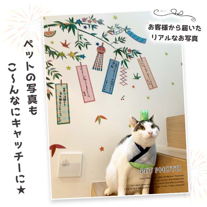 ウォールステッカー 七夕 飾り 3枚組 夏 笹 竹 壁紙 おしゃれ 室内 W0259 ウォールステッカーのスクウェア 通販 Yahoo ショッピング