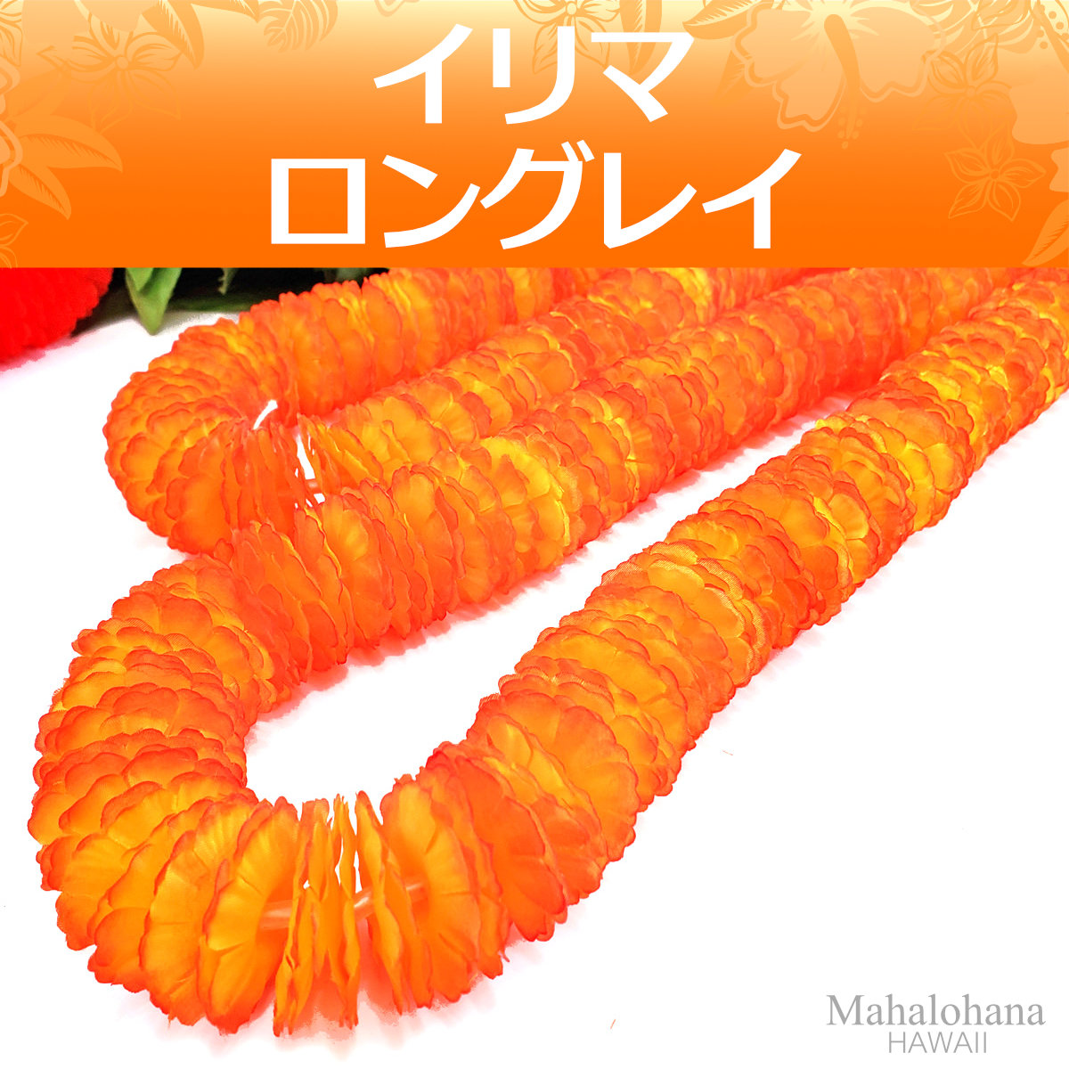 fla. group. have iili Murray ( orange & yellow gradation ) Hawaiian 150cm long gray 