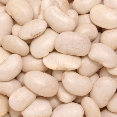  legume white flower legume Hokkaido production . peace 5 year production mail service free shipping 500g * date designation un- possible * payment on delivery un- possible * including in a package un- possible commodity delivery .3 day ~7 day it takes 