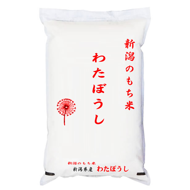 田中米穀 新潟県産 わたぼうし もち米 令和4年産 5kgの商品画像