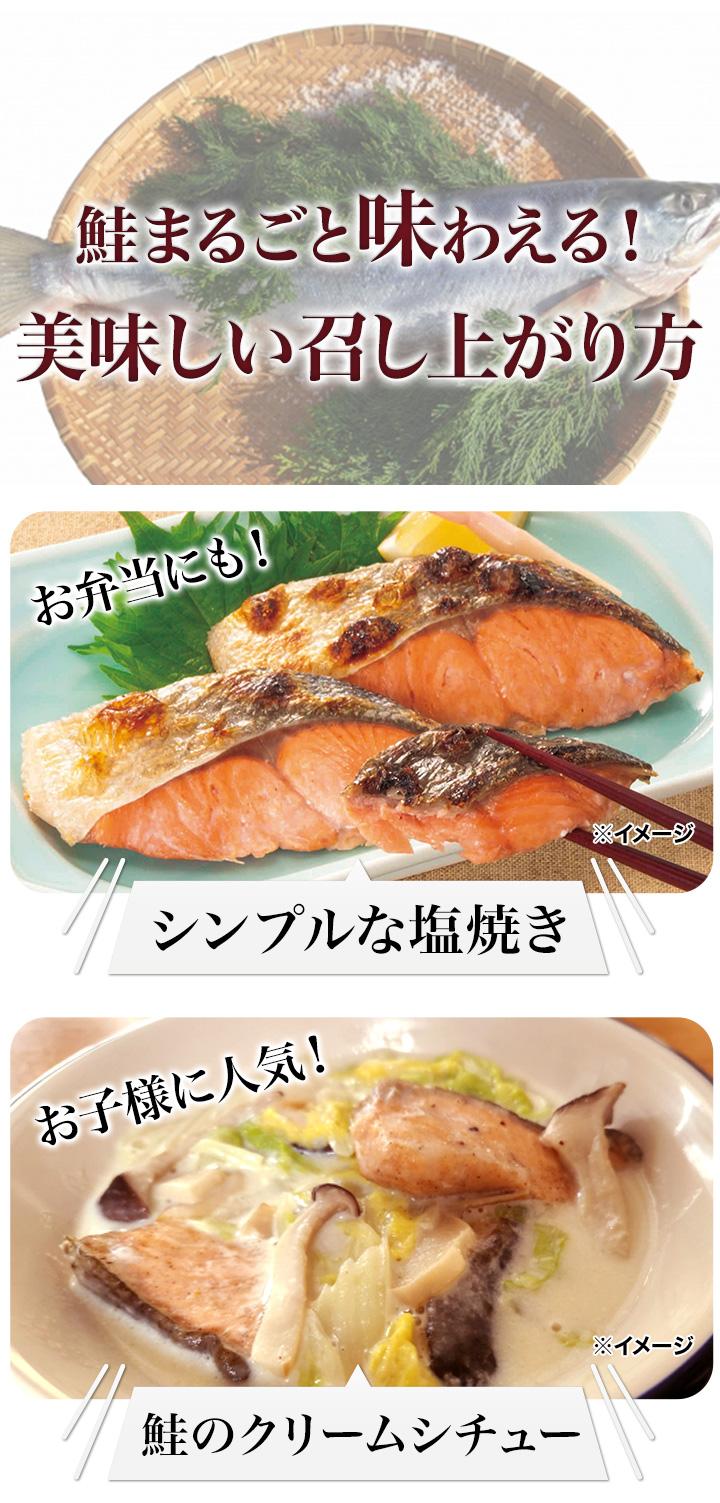 1 box 1.5kg Hokkaido production aramaki salmon cut . aramaki salmon 1.5 kilo .. keta salmon .... volume salmon salt minute approximately 1.5%.. for present gift contentment superior article pavilion nationwide free shipping 