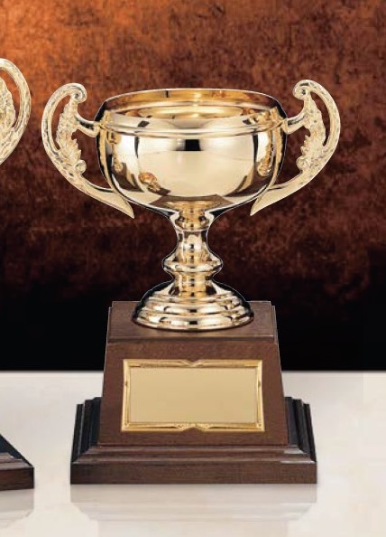  чемпионский кубок GC-1424C высота 23.5cm Gold дерево в коробке знак inserting бесплатный 