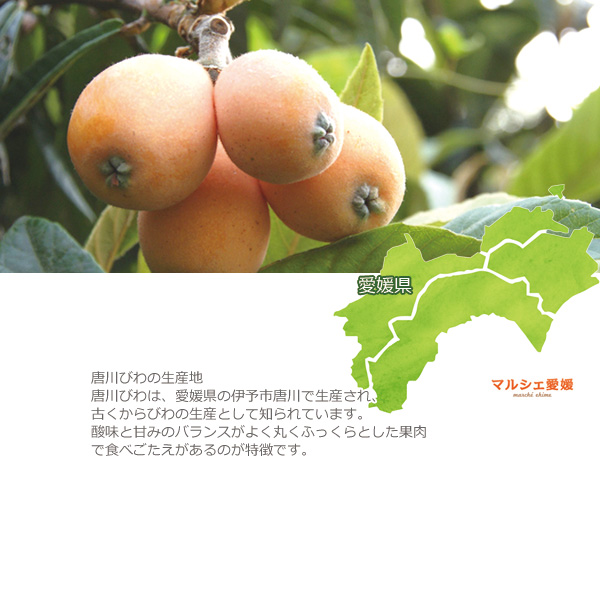  loquat ..4 pack 2 box approximately 40 sphere 3L 2L L Tang river loquat biwa size mixing one part region free shipping 