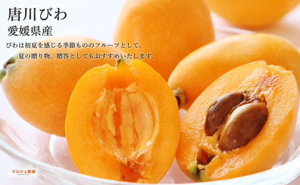  loquat biwa4 pack large grain 3L 2L L Tang river loquat approximately 20 piece approximately 1.6kg size mixing Ehime .. gift .. one part region free shipping 