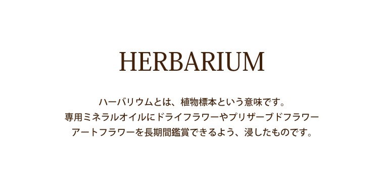 . job festival . woman present flower gift Sakura herbarium ballpen & card-case set card-case finding employment festival .20 fee 30 fee 40 fee 