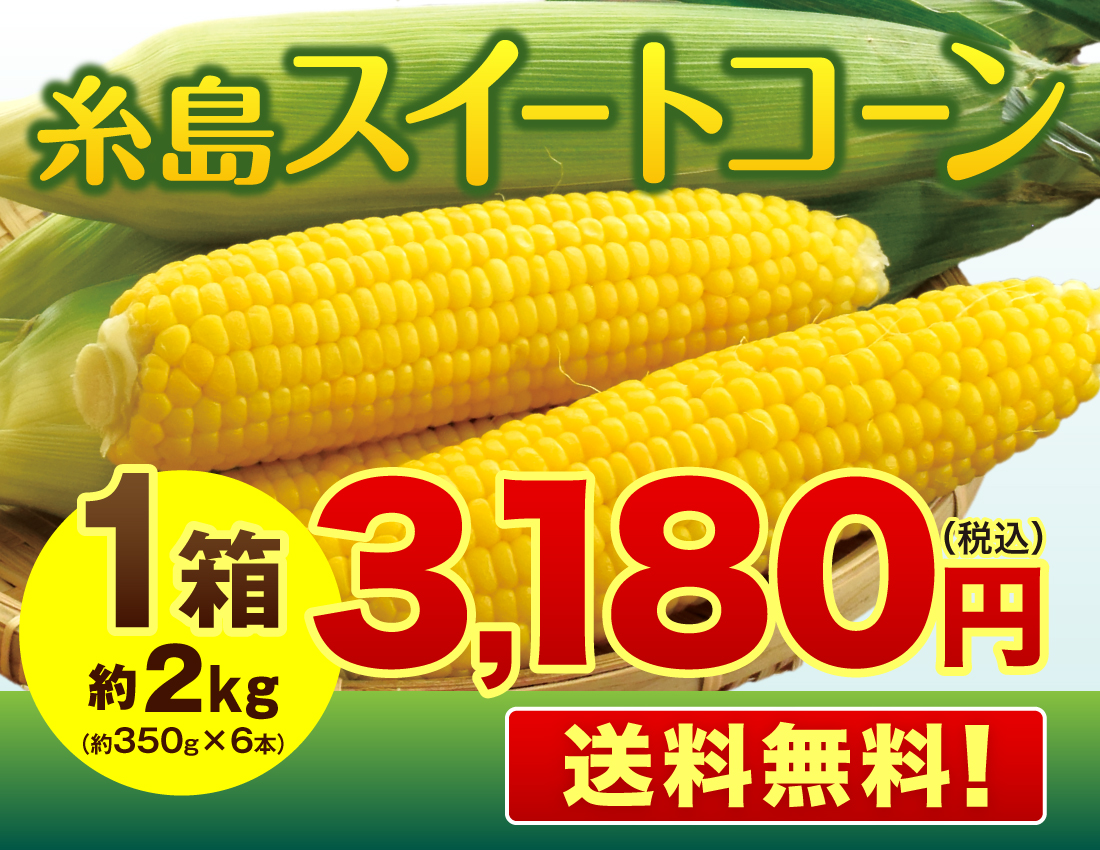 [ free shipping ] thread island sweet corn Fukuoka production 1 box approximately 2kg( approximately 350g×6ps.@) corn maize corn . taste morning .. morning .. Kyushu Fukuoka thread island city .. Bon Festival gift 