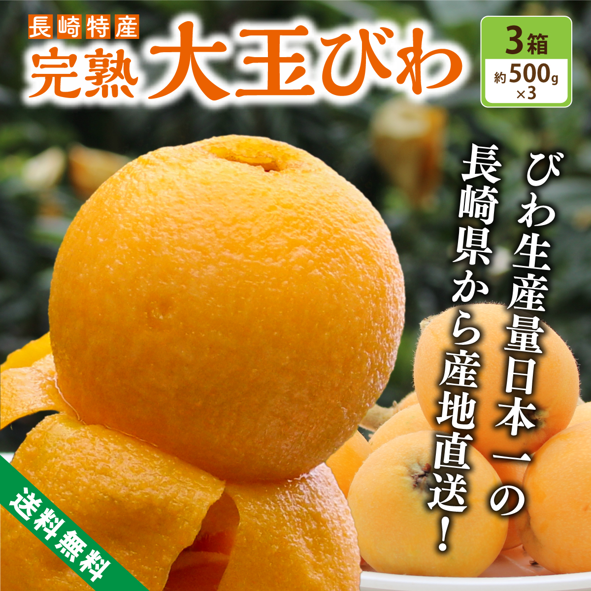 | complete sale ..!| [ free shipping ] large sphere loquat 2L size (1 box 9 sphere entering )×3 box ..... loquat Nagasaki loquat ..biwa.. Nagasaki prefecture production 