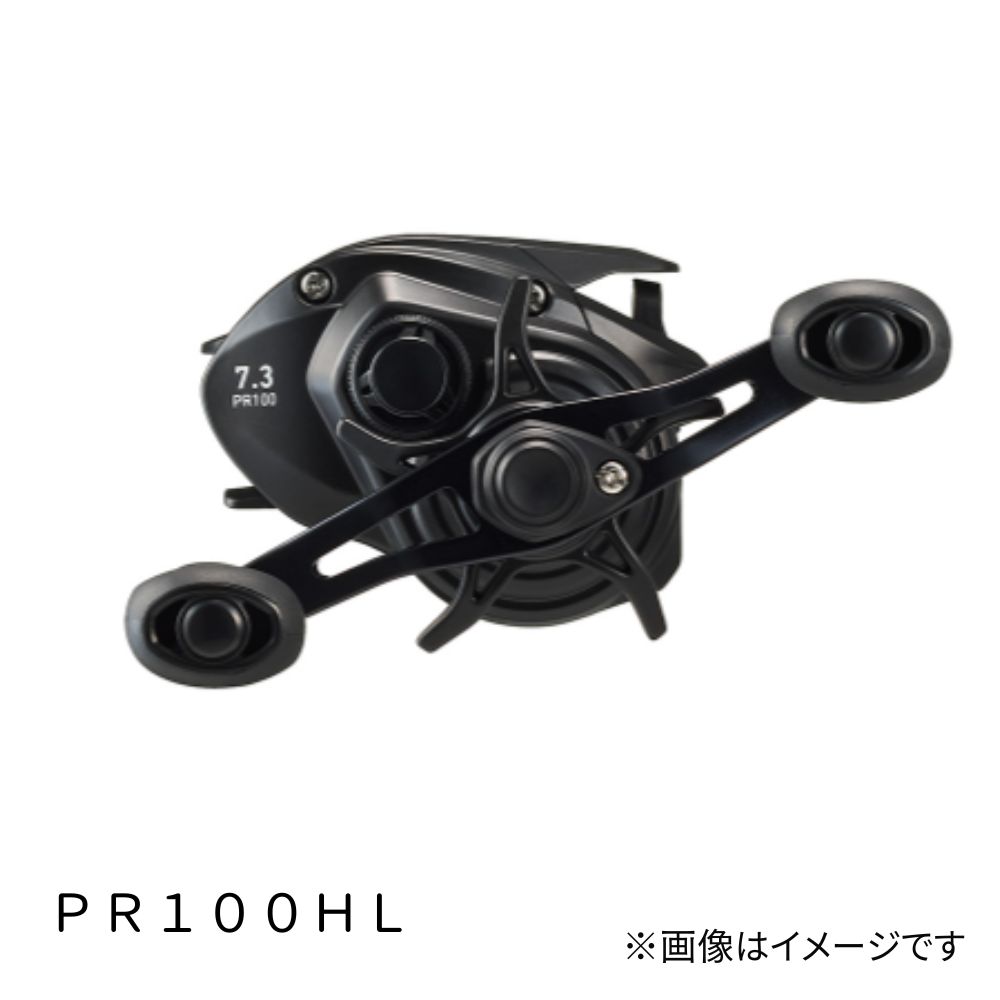DAIWA（釣り） 23 PR100HL 釣り ベイトリール - 最安値・価格比較