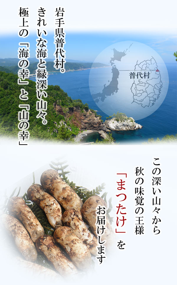 распродажа до конца остаток незначительный Iwate префектура производство есть перевод сосна .300g ( открытие * нехватка * очень большой * маленький и т.п. включено ) дом для местного производства .... matsutake включение в покупку не возможно установленная дата указание не возможно 