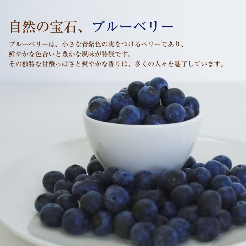  blueberry approximately 100g 6 pack Ehime production free shipping direct delivery from producing area fruit fruit tilt fare included reservation commodity 