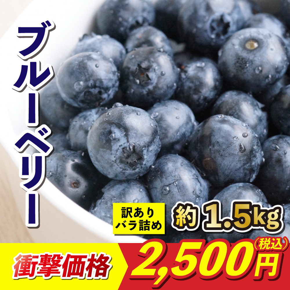  blueberry with translation rose .. approximately 1.5kg Ehime production free shipping direct delivery from producing area fruit fruit tilt fare included reservation commodity 