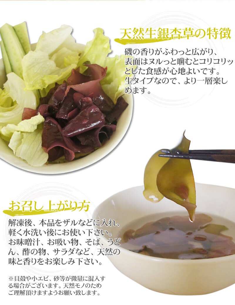  seaweed raw ginkgo biloba .150g raw freezing natural Hakodate production .. length . that way. natural seaweeds 