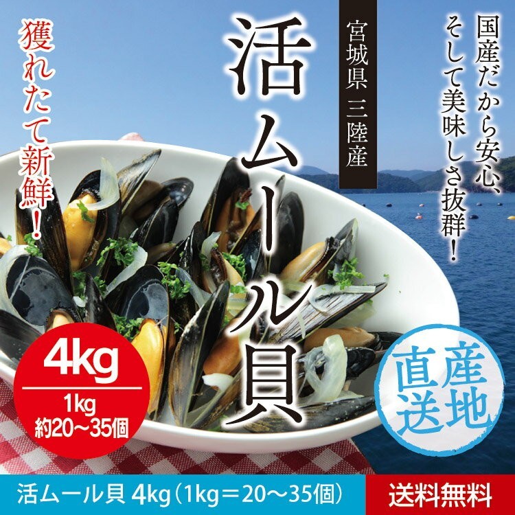  mussel 4kg