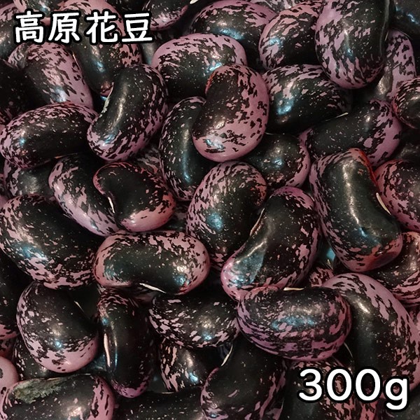  height . flower legume (300g). peace 4 year production Gunma prefecture production [ mail service correspondence ]