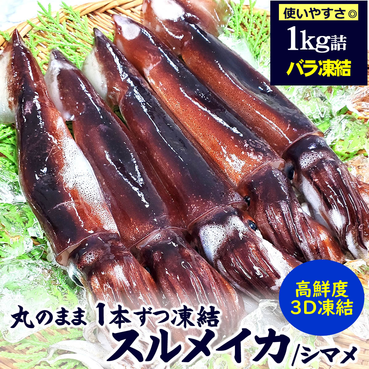 ( free shipping ) dried squid ..( freezing ) economical 1kg(3-6 cup degree go in )2 set order .500g increase amount middle! domestic production ( mountain .. slope production )(simame squid,....., Pacific flying squid )