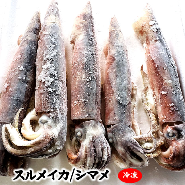 ( free shipping ) dried squid ..( freezing ) economical 1kg(3-6 cup degree go in )2 set order .500g increase amount middle! domestic production ( mountain .. slope production )(simame squid,....., Pacific flying squid )