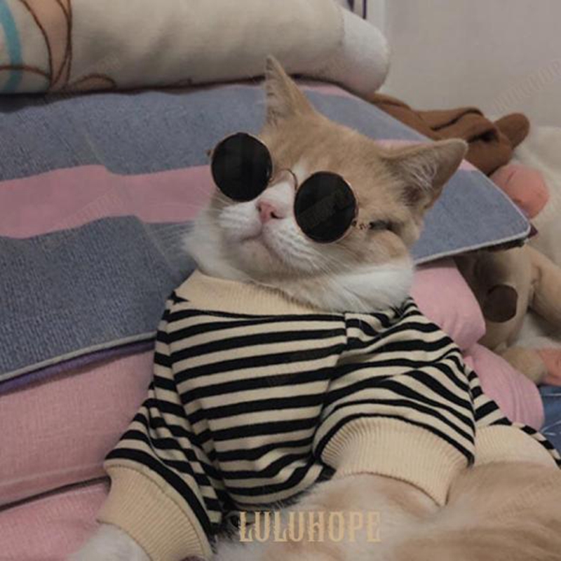  кошка одежда домашнее животное одежда длинный рукав собака. одежда собака одежда футболка Parker полоса рисунок кошка одежда холод . меры осень-зима кошка .. одежда маленький размер собака кошка. одежда pe