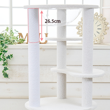 [ детали ](C) хлопок paul (pole) |26.5cm( Bianca )