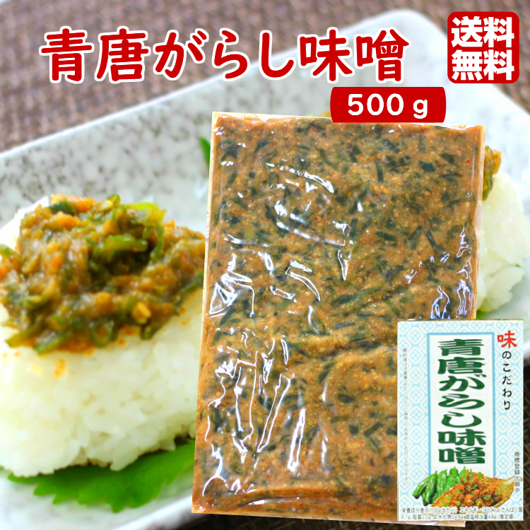 馬場音一商店 青唐がらし味噌 業務用 500g×1個の商品画像