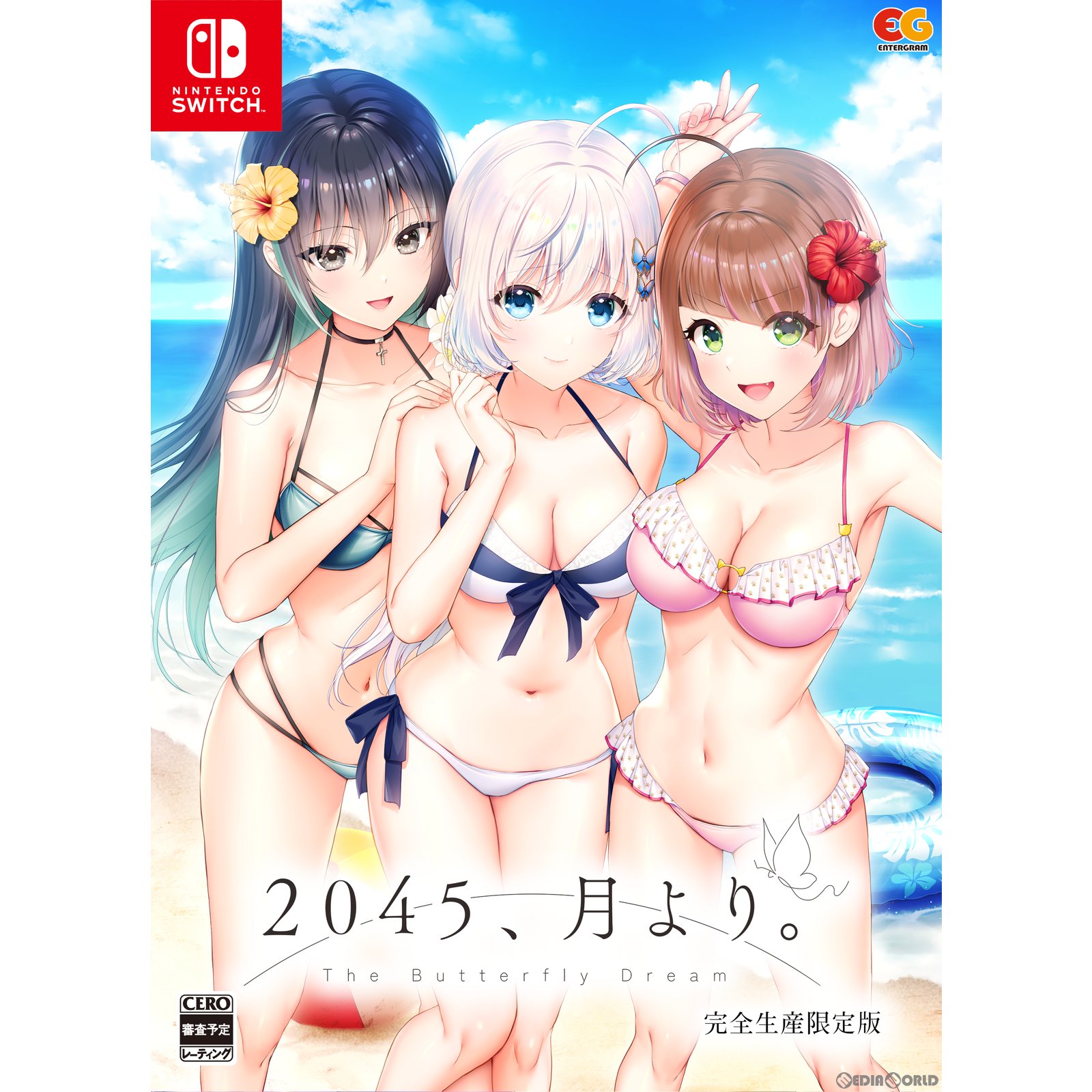 完全生産限定版