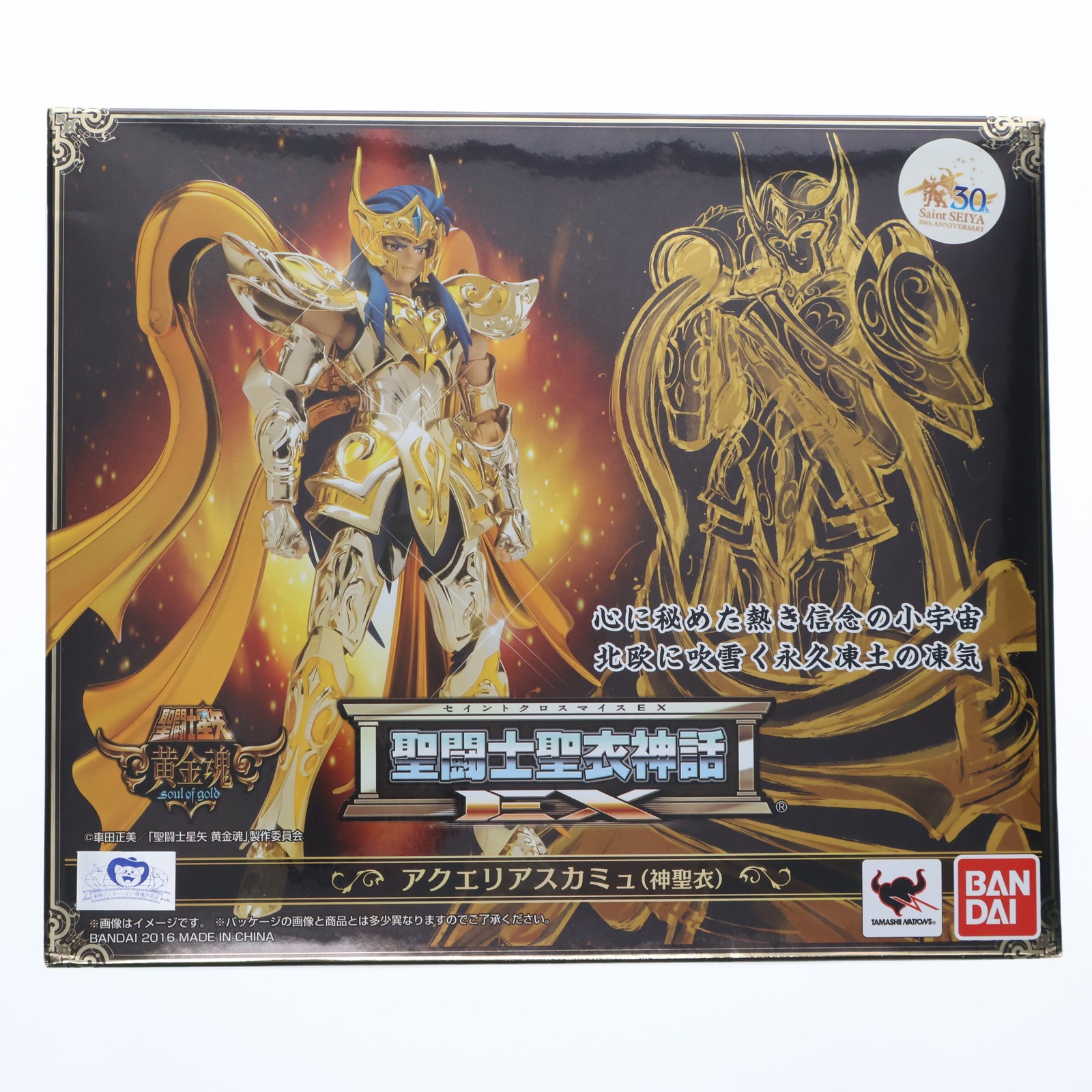 アルター 魔導物語 アルル・ナジャ （1/8スケール フィギュア