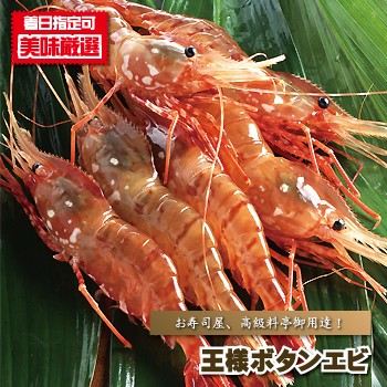 ..... очень большой . sashimi для король креветка Botan shrimp 500g передний и задний (до и после) ... море . кнопка море ... море . для бизнеса 