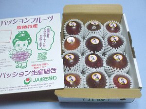  passionfruit (... production : special cultivation )B goods 1kg box (9~13 sphere )( Okinawa :JA....)