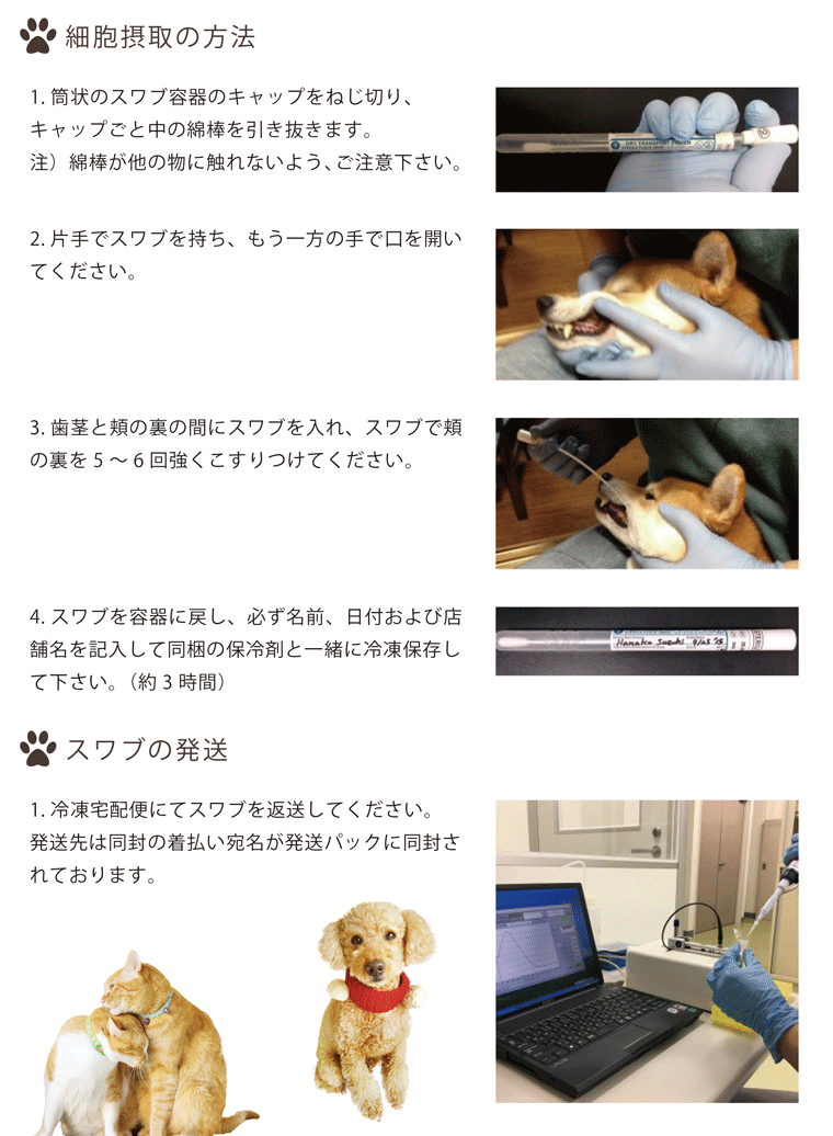 珍しい メモリアル Dna保存 ペット フォトカード Dna 思い出 メモリアル プレゼント ギフト 表彰 誕生日記念 記念品 フルカラープリント Assist ホログラム Stock その他 Williamsav Com