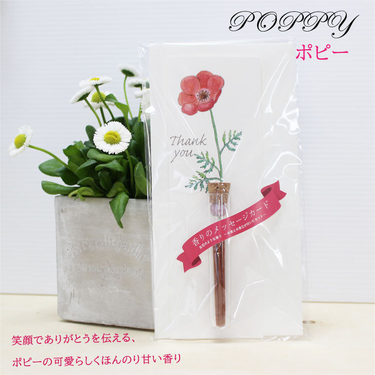 見事な お香 線香 奥野晴明堂 香の郷きらら 大 6個セット あすつく対応 2 Shipsctc Org