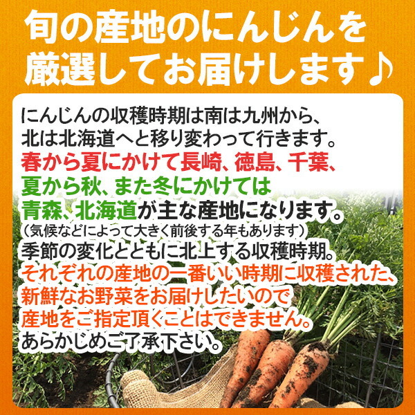  внутренний производство ограничение морковь есть перевод примерно 10kg [ прохладный рейс ] бесплатная доставка [4~5 день предприятие дней в течение отгрузка ][ указанный день не возможно ]