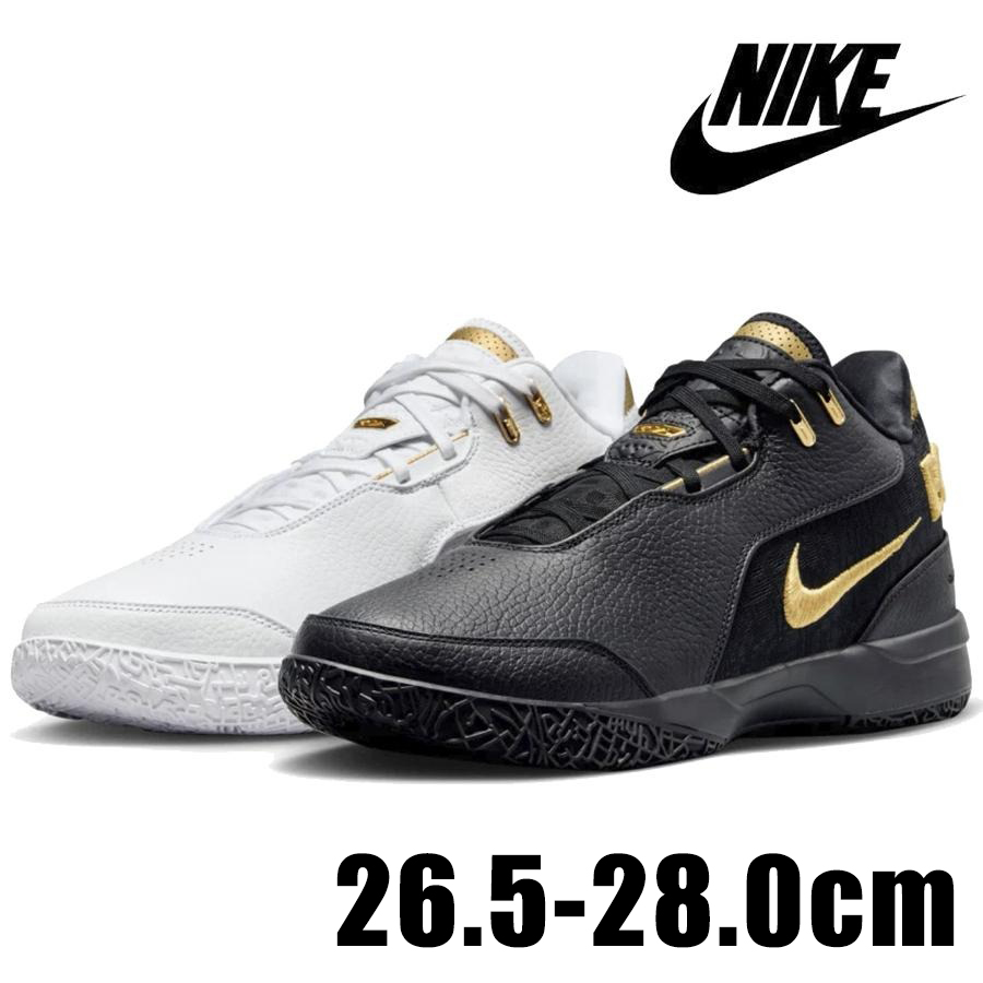 ZM Lebron NXXT Gen Ampd EP Equality FJ1567-103 28 5CM NIKE