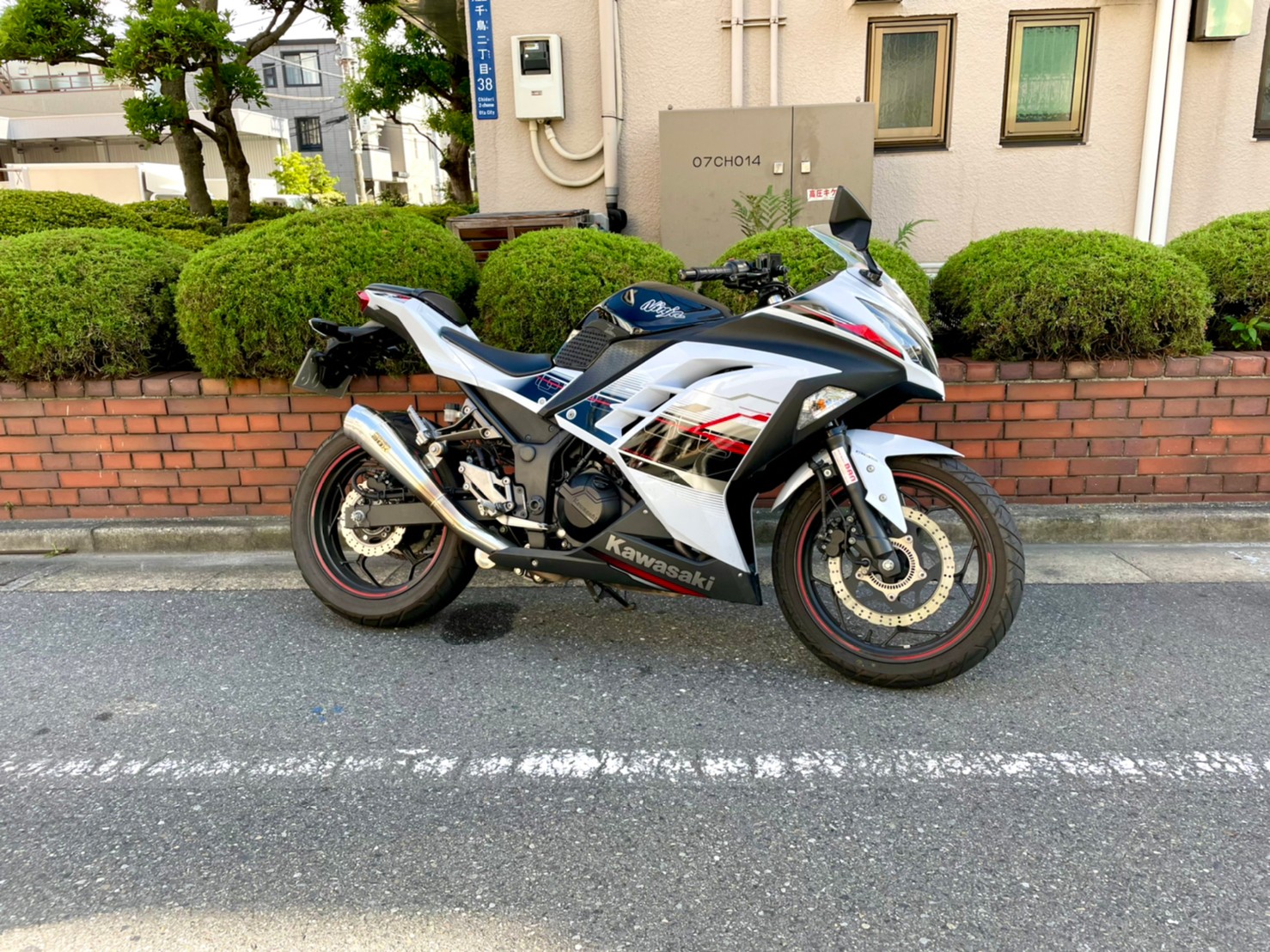 [Ninja250 ABS Special Edition ] Kawasaki | used 