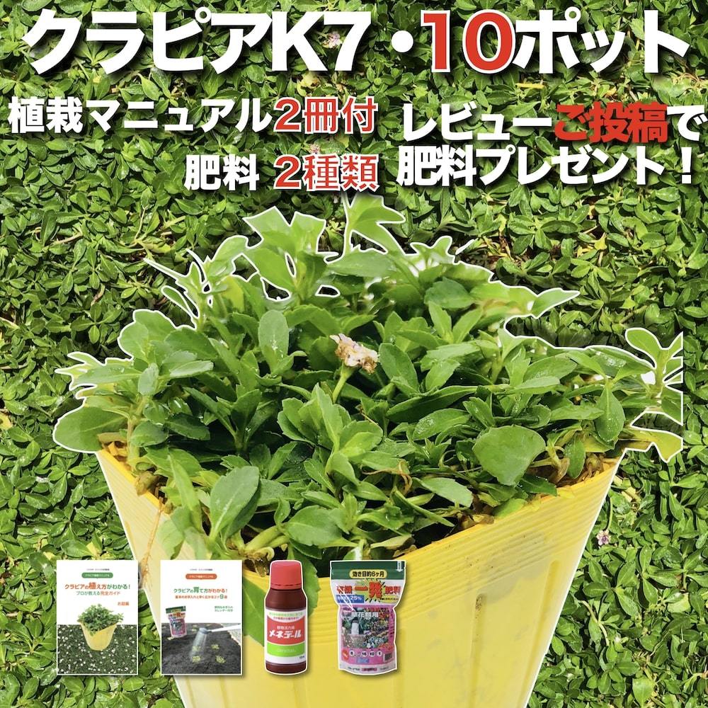 kla Piaa K7 9cm pot seedling 10 pot green s.... set white color goods kind iwadare saw improvement kind fertilizer,mene Dale attaching garden 