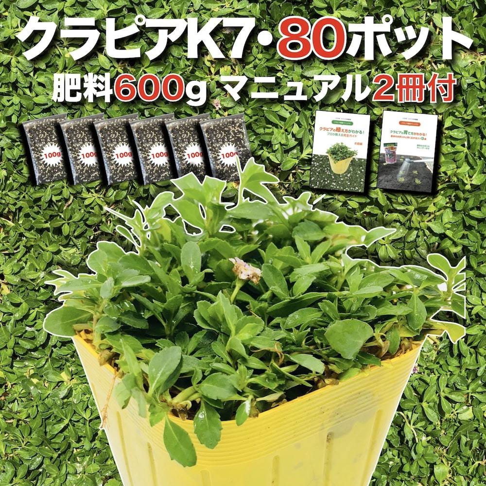 kla Piaa K7 9cm pot seedling 80 pot set white color goods kind fertilizer 600giwadare saw improvement kind manual attaching ground cover 