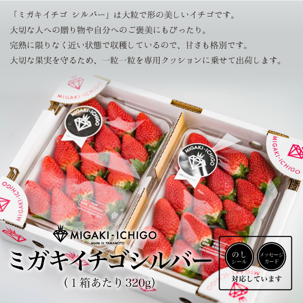 5 end of the month . now season end![ date designation possible ][migaki strawberry silver (. home for / large grain )2 pack 320g×2] strawberry direct delivery from producing area fresh Miyagi prefecture production hand earth production high class .. gift 