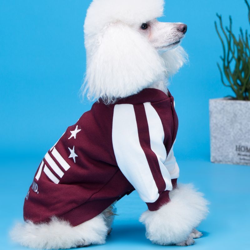 価格 交渉 送料無料 犬服 ドッグウェア ブルゾン ジャンパー ロゴ 星 スター ライン 犬用 犬 いぬ ドッグ ペット用品 犬用品 小型犬 可愛い かわいい かっこいい Chartidis Gr