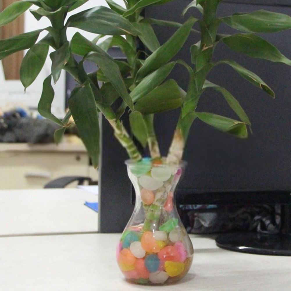 独特の素材 水槽用 レイアウトストーン 50個入り 底床 光る 夜光 暗闇 水槽用レイアウト アクアリウムデコレーション 水槽内インテリア アクセサリー 水槽用品 Shipsctc Org