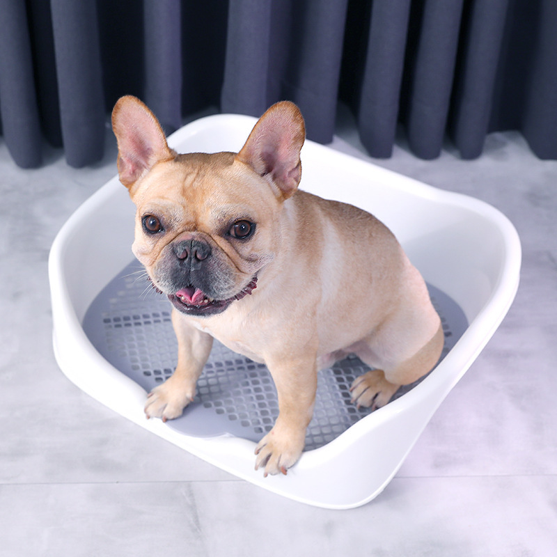 冬バーゲン トイレ容器 ペットトイレ 兔 猫 犬 生き物 トイレ ペット用品 枠付き 折りたたみ オス ペットグッズ ペット用品 足上げ 犬のトイレ メッシュ イヌ トレーニング しつけ ポール付き しつけ用品 Smssvg Org