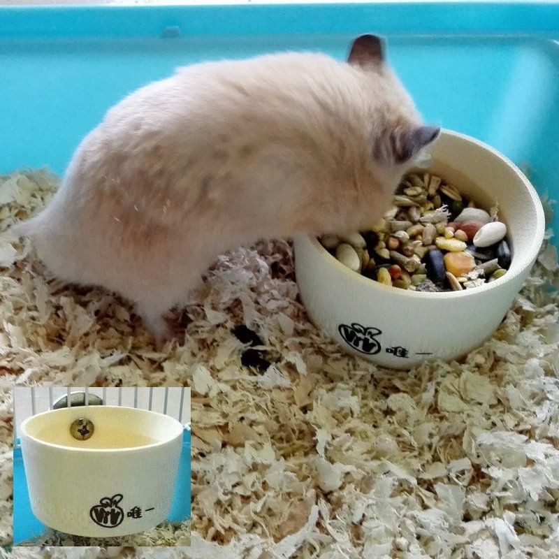 ハムスター用 食器 フードボウル 餌入れ エサ入れ フードボール ケージに固定 ペットグッズ 小動物用 ゴールデンハムスター ドワーフハムスター シマ Pet おとりよせ Com 通販 Yahoo ショッピング