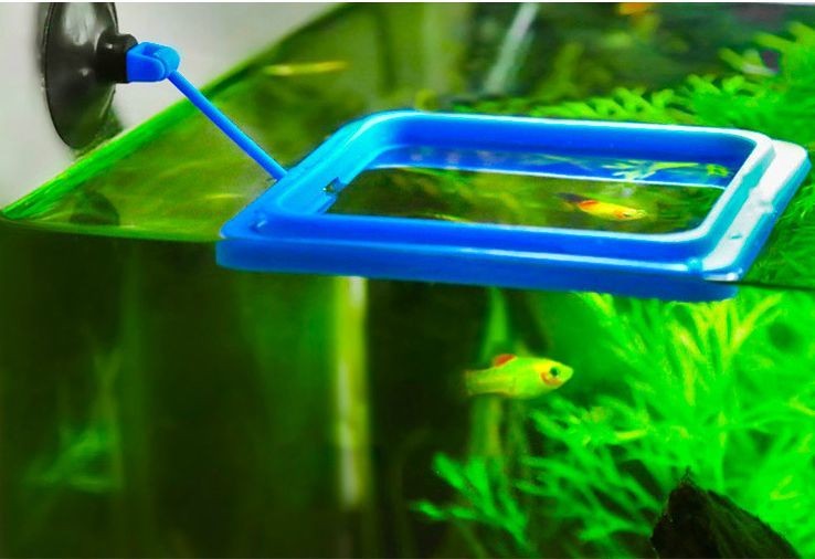 大きな割引 アクリル水族館フィッシュフィーダー 吸盤付き軽量フィッシュフィーダー 水槽用 Glm Co Il