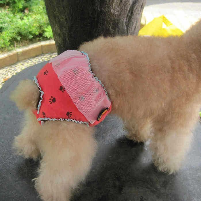 通常便なら送料無料 犬用サニタリーパンツ 犬 犬用 ペット用 小型犬 中型犬 生理パンツ 月経パンツ ペットケア用品 おむつ 便利 お出かけ 散歩 かわいい おしゃれ ド Shipsctc Org