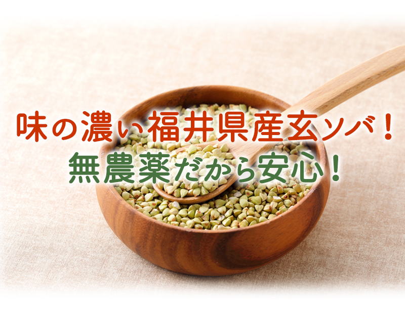  семя гречихи нет пестициды * нет химия удобрение культивирование Fukui префектура производство 500g 1 пакет до Kuroneko .. пачка рейс рассылка .. пачка рейс когда наложенный платеж не возможно 