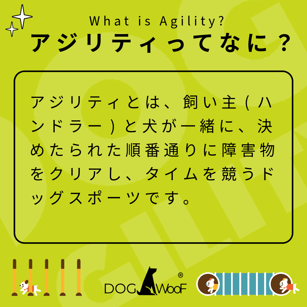  собака Agility бег с препятствиями для соревнований бег с препятствиями Agility для соревнований тренировка для собака тренировка Jump состязание все металлический 