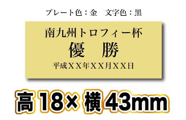 優勝 表彰 ブロンズ トロフィー ゴルフ B2092-Dサイズ(高さ9.5cm 重さ480g)(AGH-0) 彫刻名入れ無料 南九州トロフィー :t000033:南九州流通プラス - 通販 - Yahoo!ショッピング 優勝 表彰 ブロンズ トロフィー ゴルフ B2092-Dサイズ(高さ9.5cm 重さ480g)(AGH-0) 彫刻名入れ無料 南九州トロフィー :t000033:南九州流通プラス - 通販 - Yahoo!ショッピング