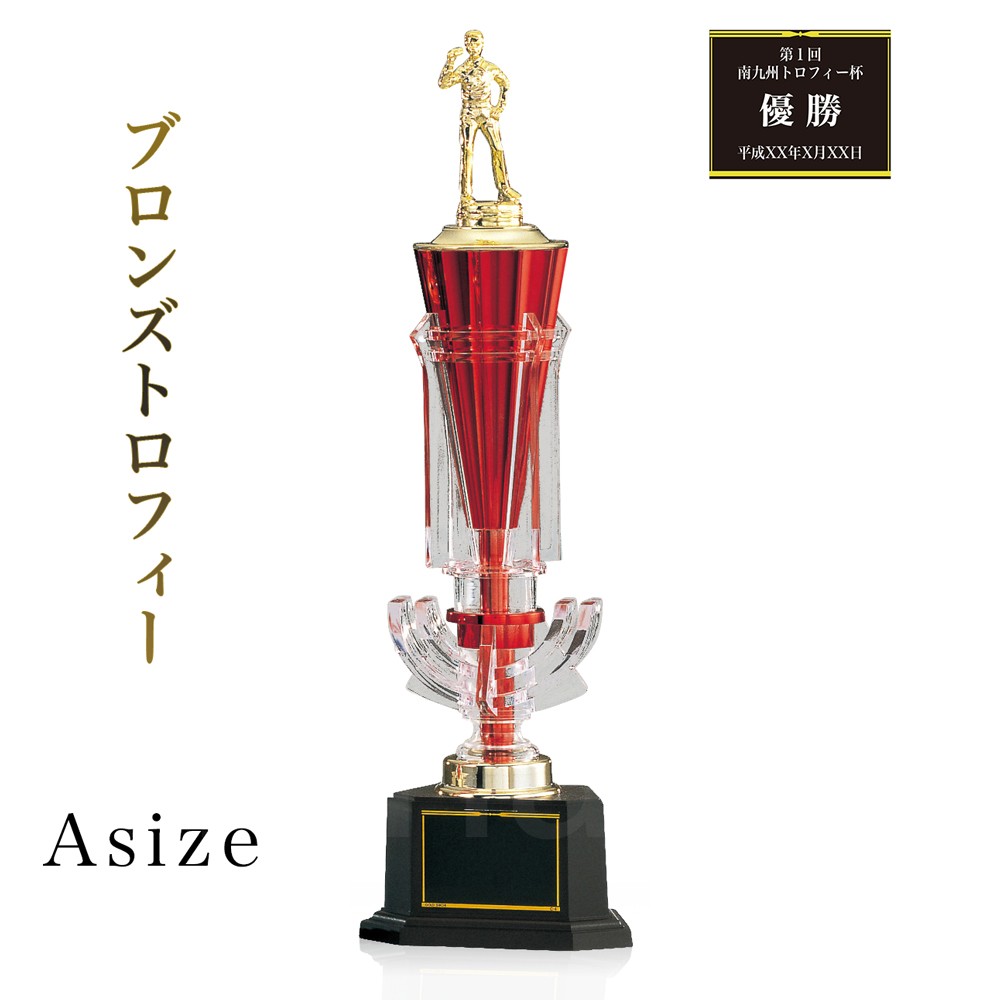 熱販売 ゴルフ 優勝カップ Aサイズ Fb 119 A 0 9kg 優勝トロフィー 優勝 カップ 文字彫刻代金無料 コンペ 企業表彰 社内表彰 Fucoa Cl
